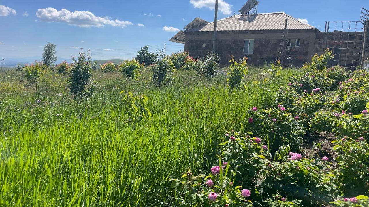 Holiday home Tooi-tooi Krashen